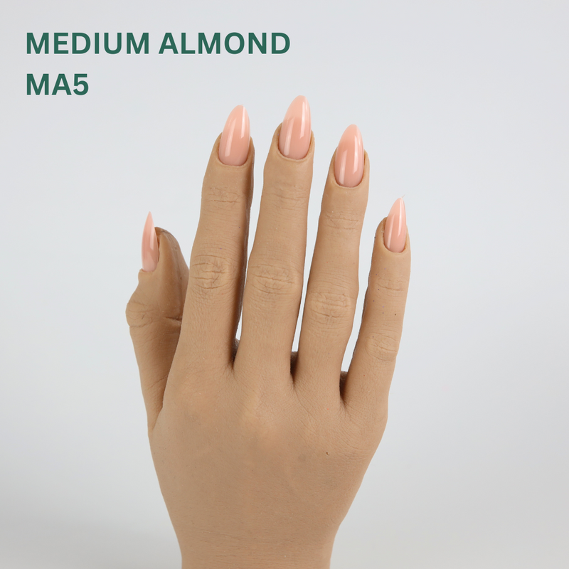 TiaraX Classique Collection - Medium Almond