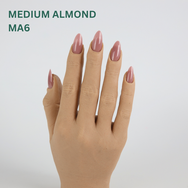 TiaraX Classique Collection - Medium Almond