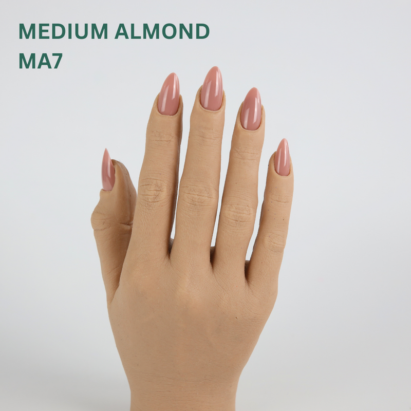 TiaraX Classique Collection - Medium Almond