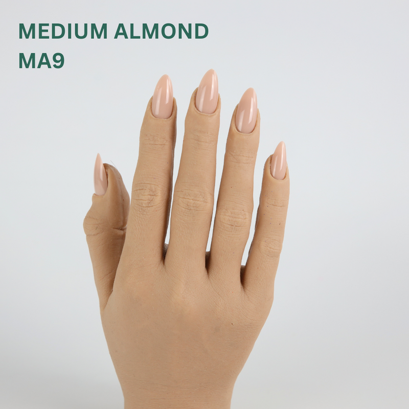 TiaraX Classique Collection - Medium Almond