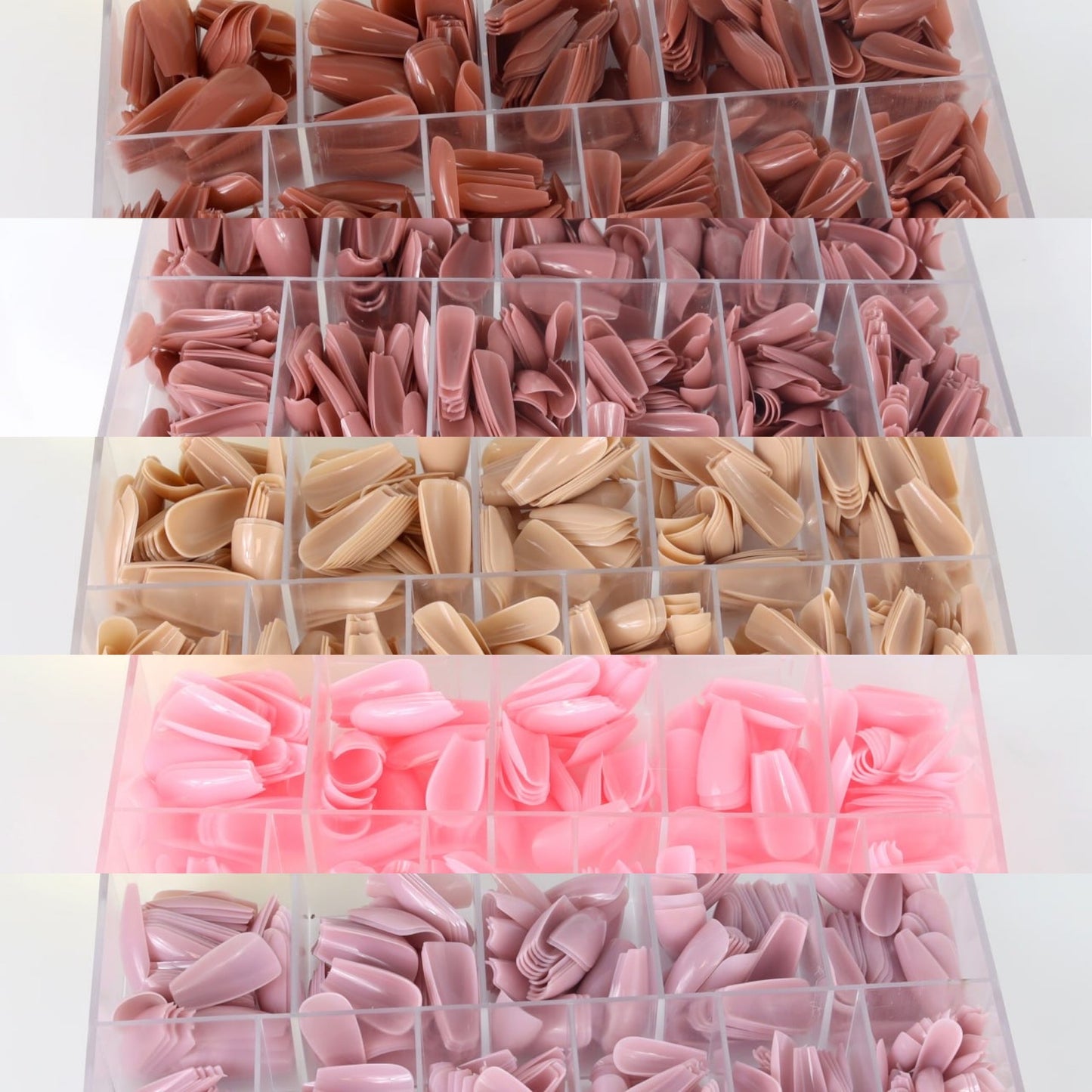 TiaraX Colored Tips Box - Medium Coffin