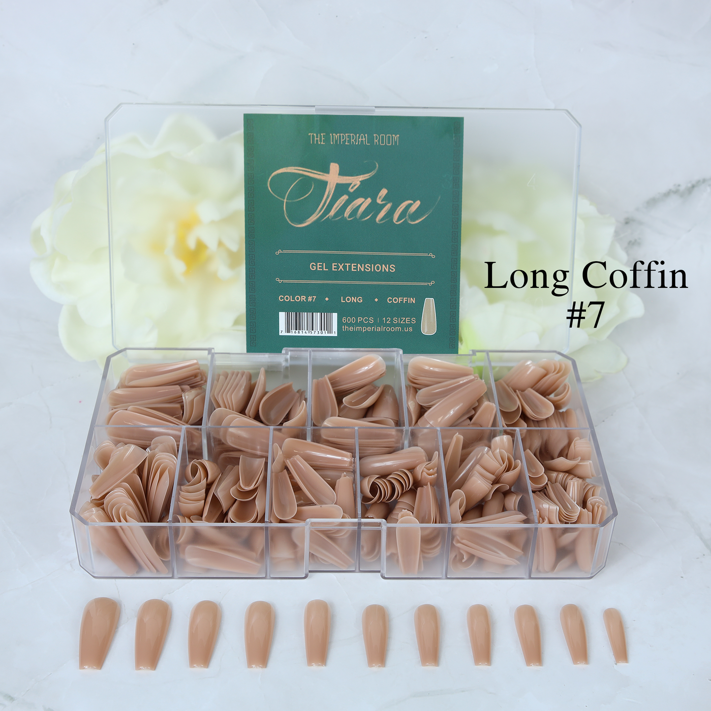 TiaraX Colored Tips Box - Long Coffin
